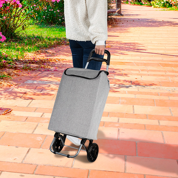 Einkaufstrolley, grau