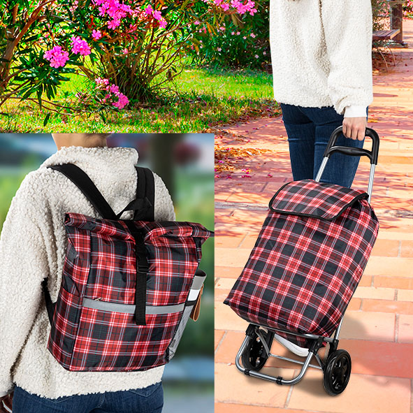 Einkaufstrolley mit Rucksack