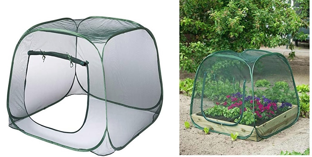 Pop-Up Pflanzenschutz