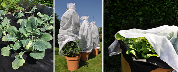 Gartenvlies - Display