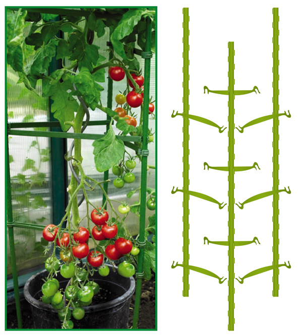 Tomaten-Pflanzstäbe 12-tlg.