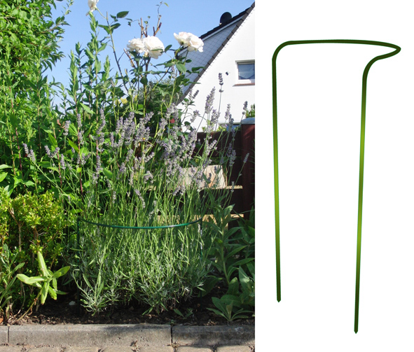 Busch- und Staudenstütze  70cm