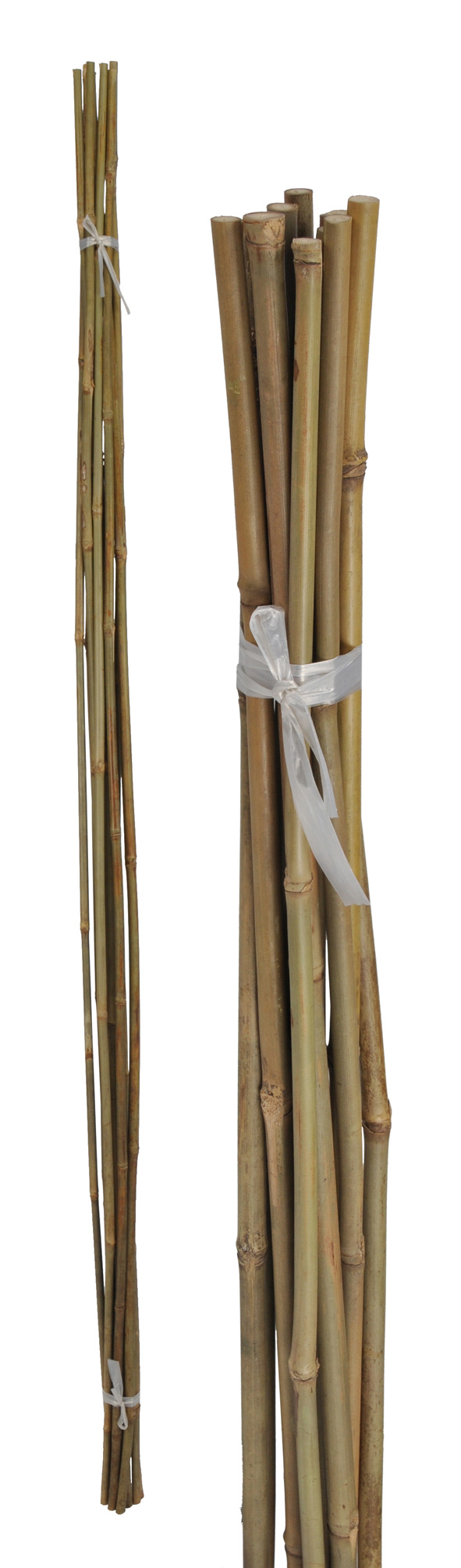 Pflanzstäbe aus Bambus 150cm, 10er Set