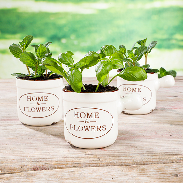 Kräuter-Topf-Set, 3er Set