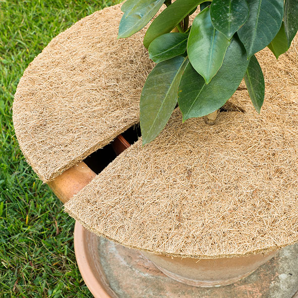 Kokosscheiben rund 2er Satz