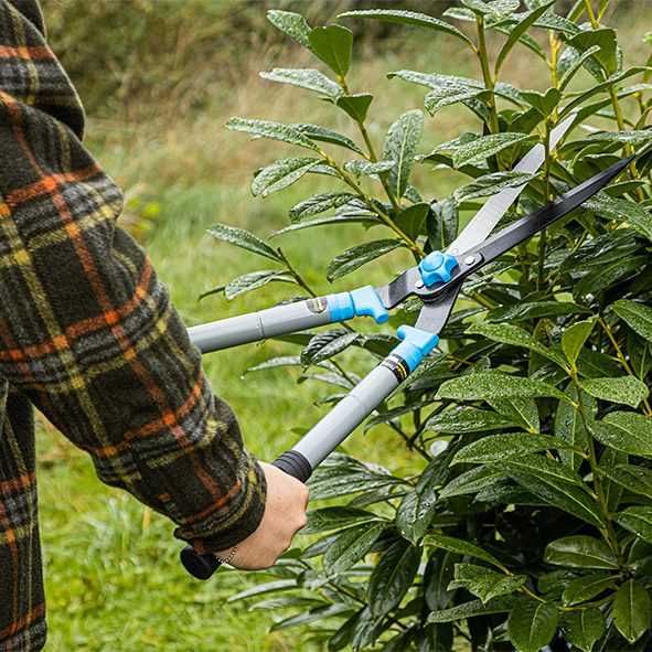 Teleskop Heckenschere