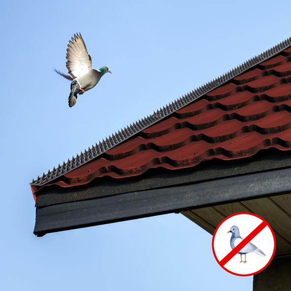 Vogelabwehr für Zäune und Mauern