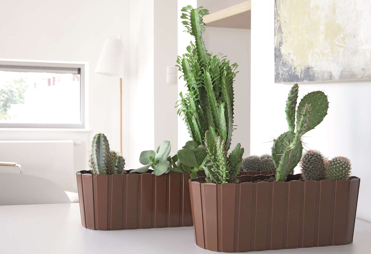 Blumenkasten in braun