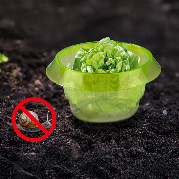 Schneckenabwehr für Pflanzen, 5er Set