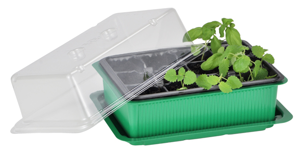 Saatgut Schale aus Kunststoff