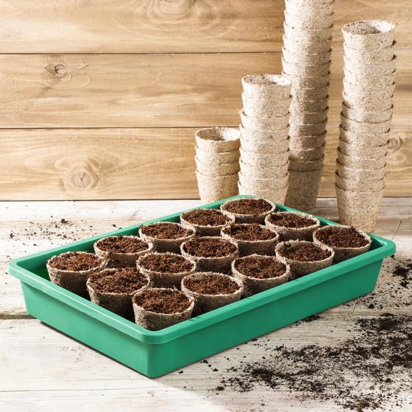 Pikierschale mit Zubehör