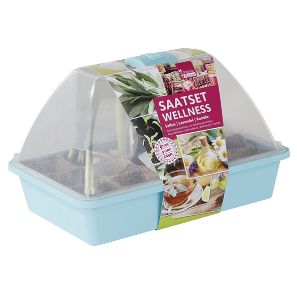 Saatset Deluxe Wellness