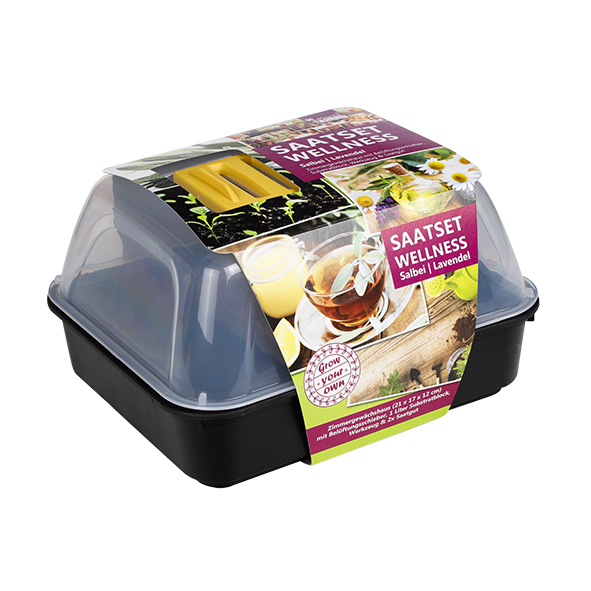 Saatset Classic Wellness