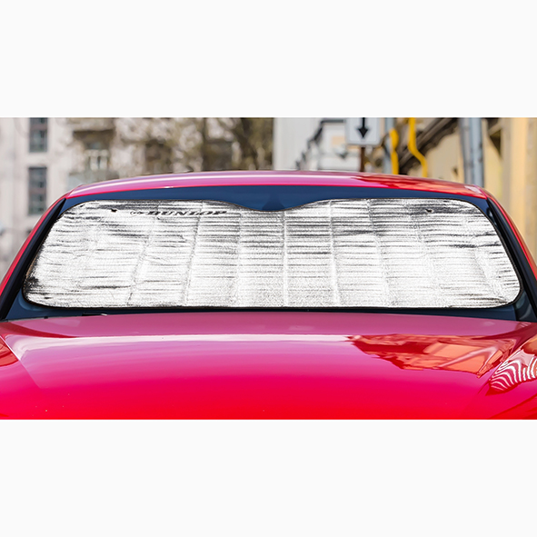 Frontscheiben-Schutzmatte