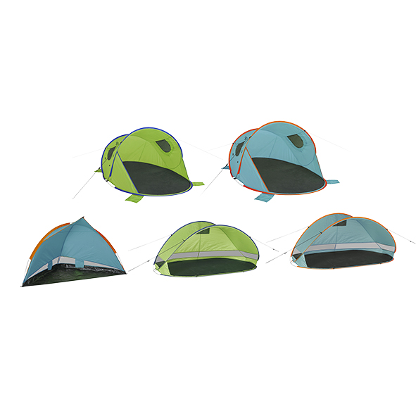 Mixkarton Strandmuscheln