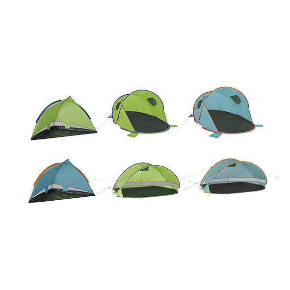 Mixkarton Strandmuscheln