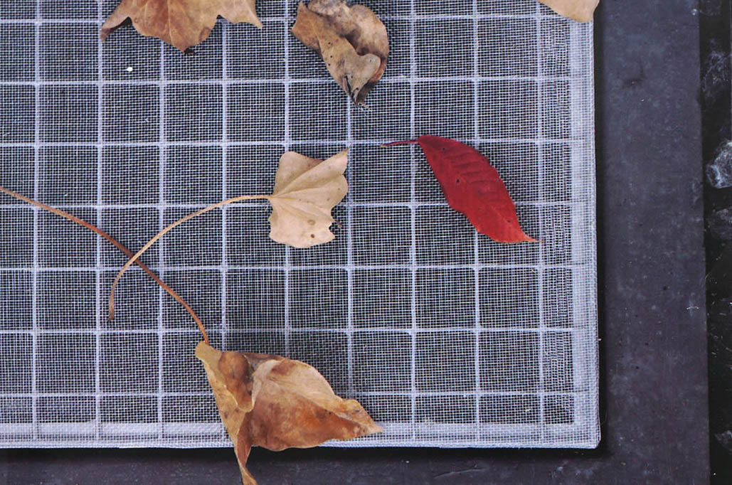 Laub & Schmutz Schutz Lichtschacht