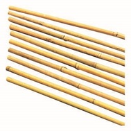 Tonkinstäbe, 10er Bund