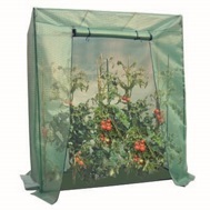 Tomatenhaus