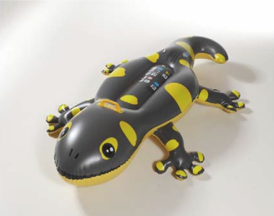 Rider "Gecko" (14678)