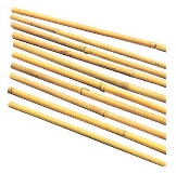 Tonkinstäbe, 10er Bund