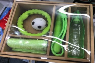 Outdoor Sommer-Set für Hunde