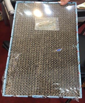 Kratzbrett mit Katzenminze