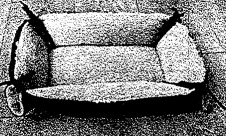 2 in 1 Haustier Bett und Liegematte