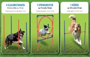 Hundetrainings-Set