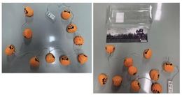 LED Batterie-Lichterkette Kürbis