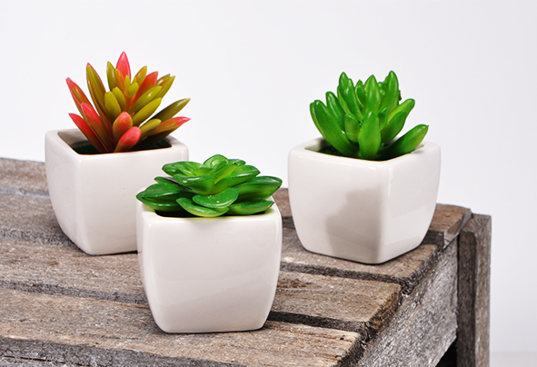 Künstliche Pflanze in Keramiktopf, 3er Set