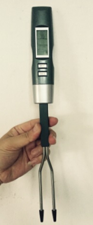 Fleischthermometer