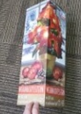 Weihnachtsstern mit LED Beleuchtung