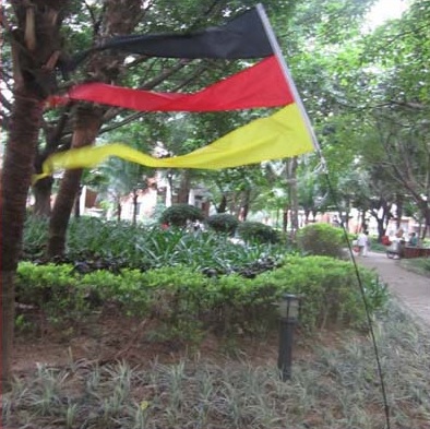 Deutschlandfahne mit Teleskopstange, 2,00 Meter