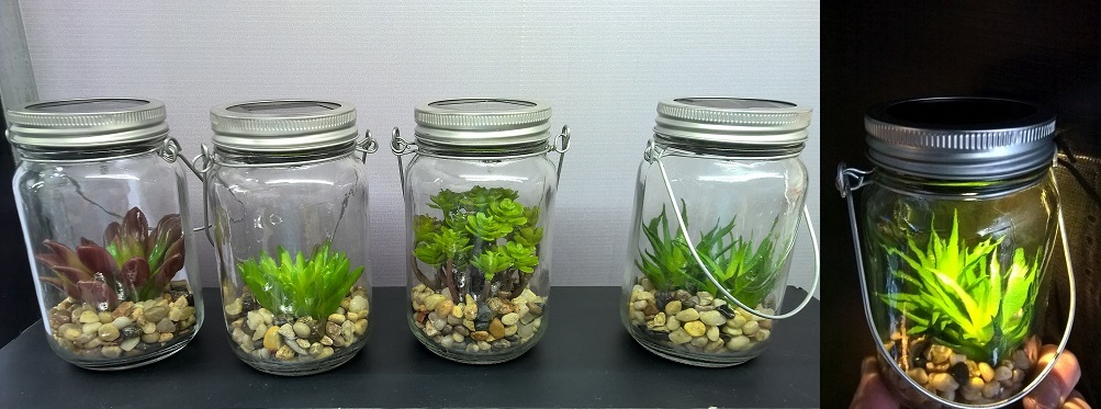 Solar Glas mit Dekopflanzen