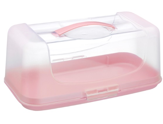 Kuchen-Transportbox, rechteckig