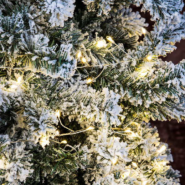 Cluster Lichterkette