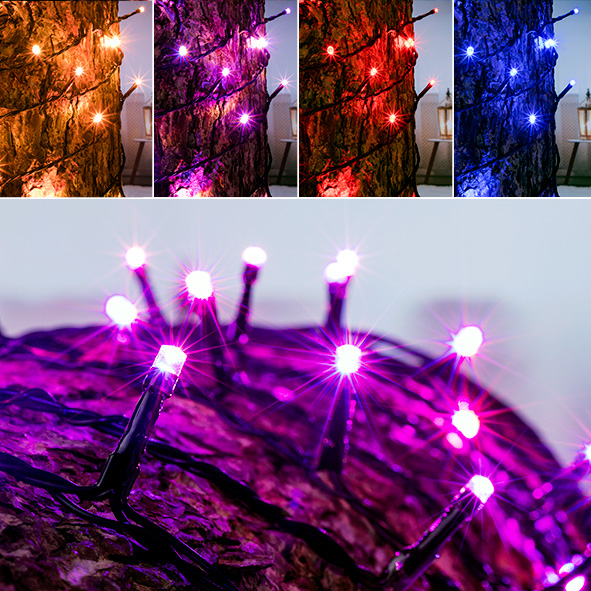 Lichterkette mit 100 multicolor LED