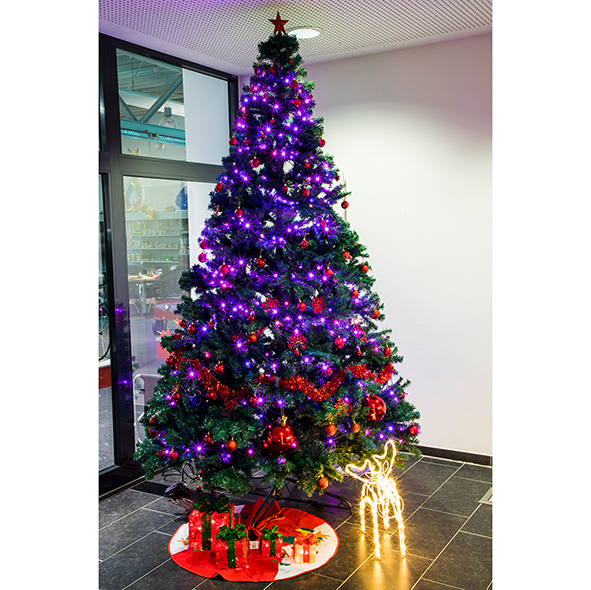 Weihnachtsbaum 300cm hoch
