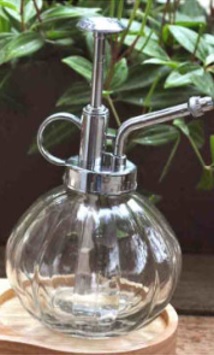 Blumensprüher aus Glas