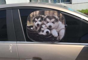 Sonnenschutz 2er Set für Autos