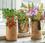 Pflanztasche aus Papier