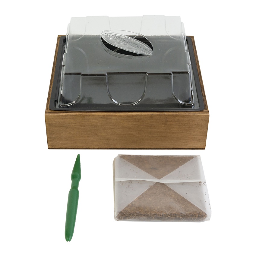 Zimmergewächshaus mit Holzrahmen