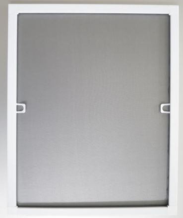 Insektenschutz-Fenster