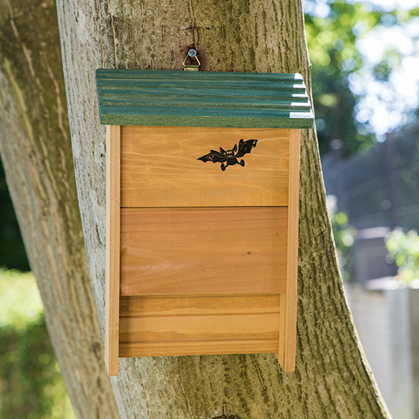 Fledermauskasten aus Holz