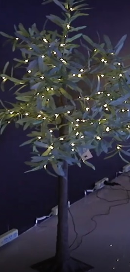 Olivenbaum mit 165 LED