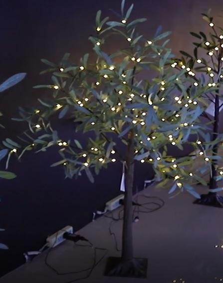 Olivenbaum mit 143 LED