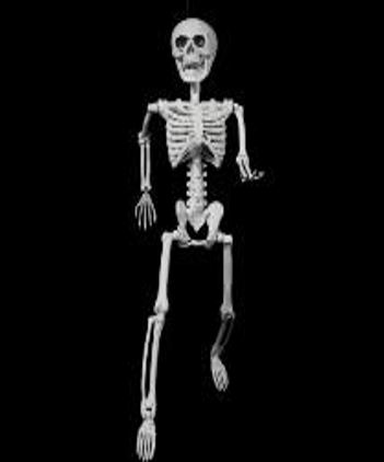 Skelett mit Gliedern