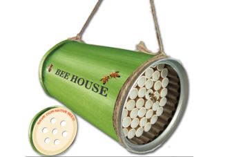 Bienenhaus in Dosenform