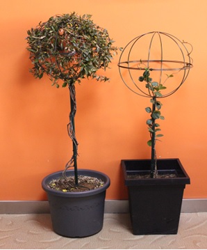 Garten Obelisk 2er Set